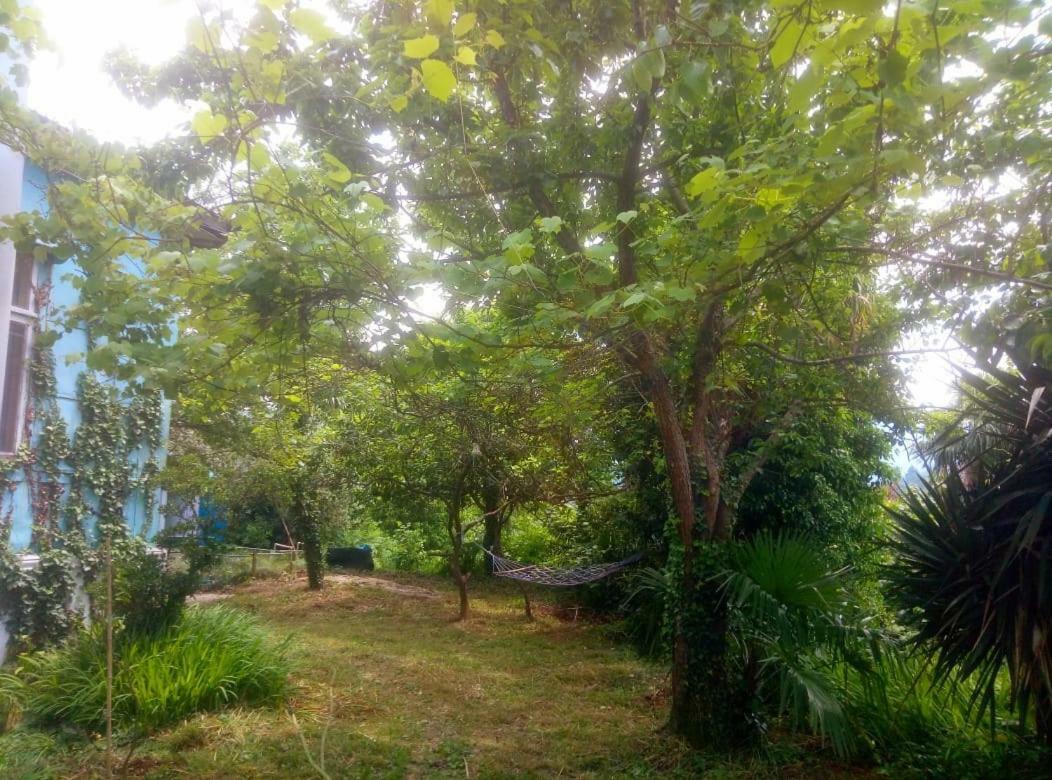 Guesthouse Eco Chakvi Exterior photo